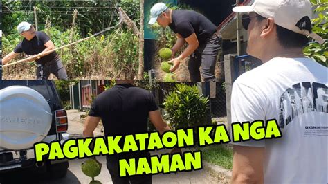 pinayflix cuddle|Cuddle Weather Kaya Sinamantala ni Roger Ang Pagkakataon.